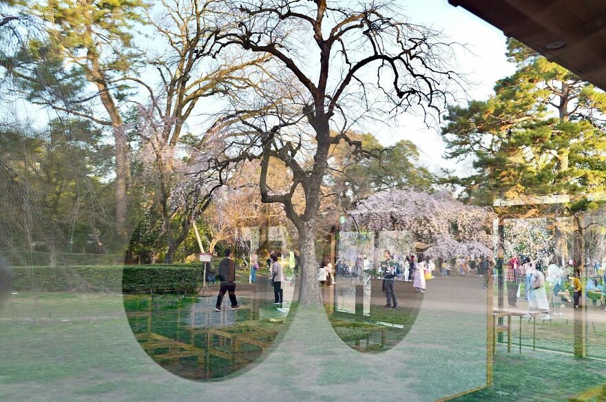 Lucky Coincidences: 26 Perfectly Timed Pictures Taken By Edas Wong (New Pics)