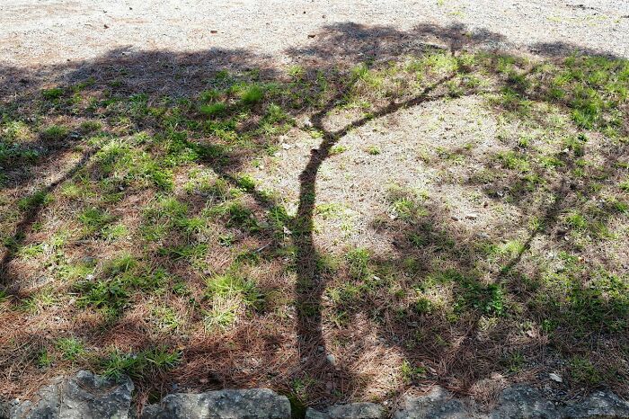 26 Funny Accidental Images That Were Taken At The Right Time And Place By This Street Photographer (New Pics)