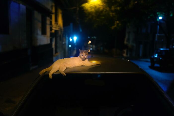 Daily Life In Paraguay Through The Lens Of Photographer Jorge Saenz (33 Pics)