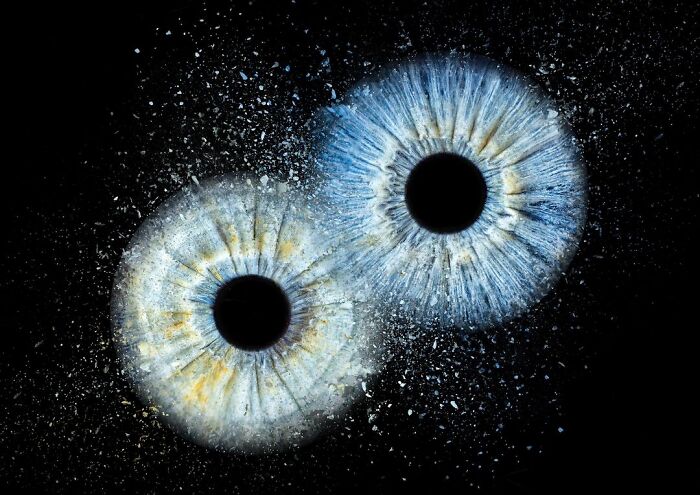 The Complex Business Of Iris Photography Is Capturing The Beauty Of The Human Eye In Immense Detail
