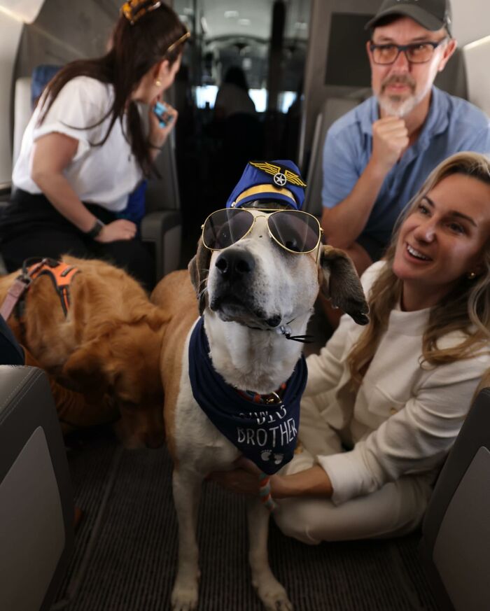 Bark Air, Where Dogs Rule The Skies In Luxury With A New Airline Designed For Them