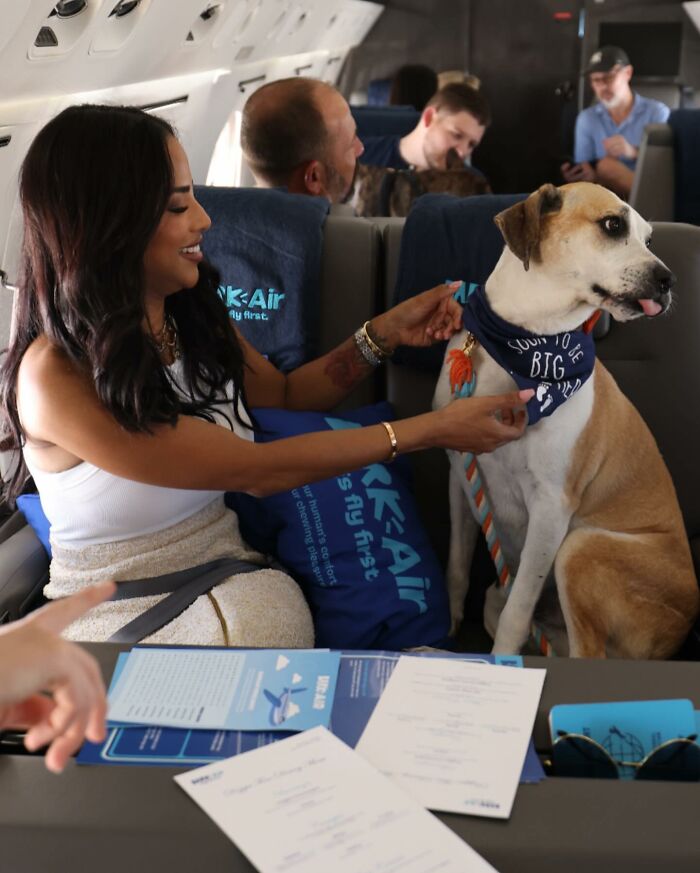 Bark Air, Where Dogs Rule The Skies In Luxury With A New Airline Designed For Them