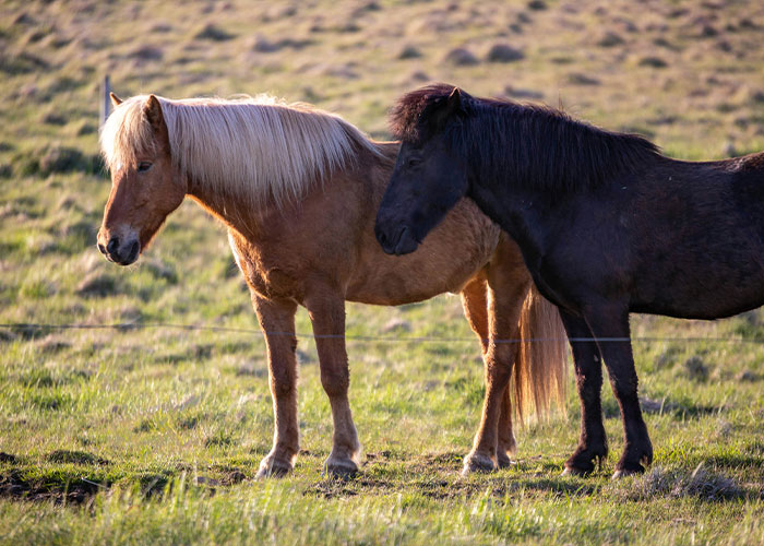 “They Woke Up Screaming For Six Months”: 50 Messed Up Jobs That Actually Exist