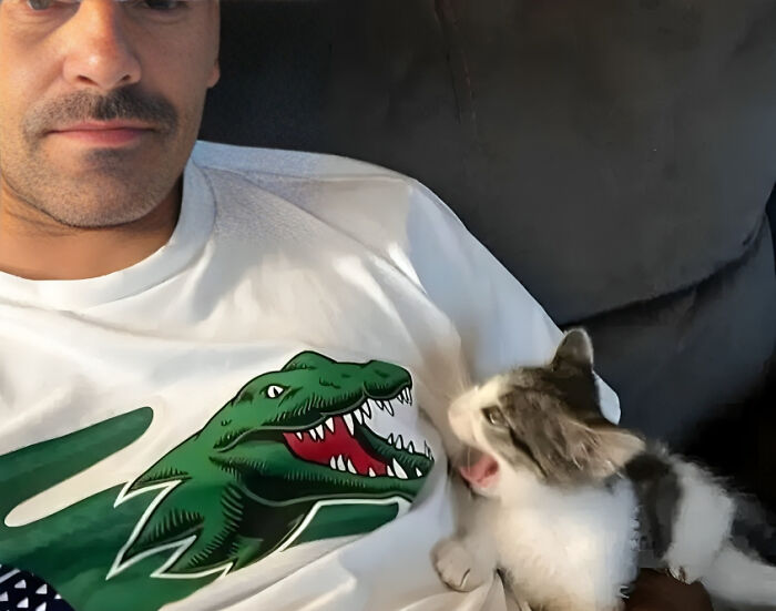 Funny-Weird-Hard-Images