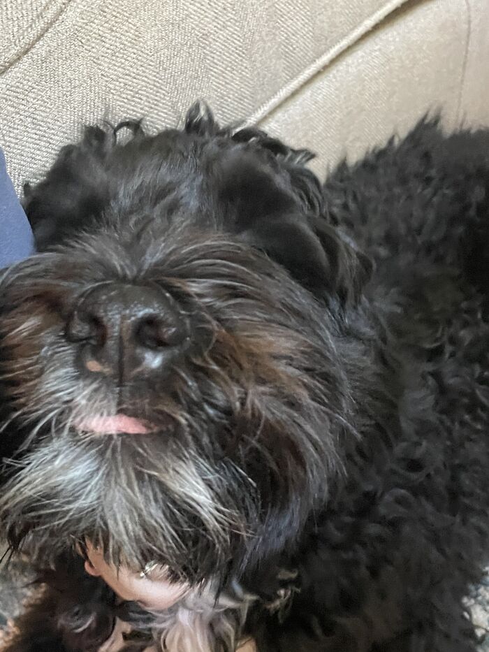 Not Quite Sure What's Going On Here But Ok