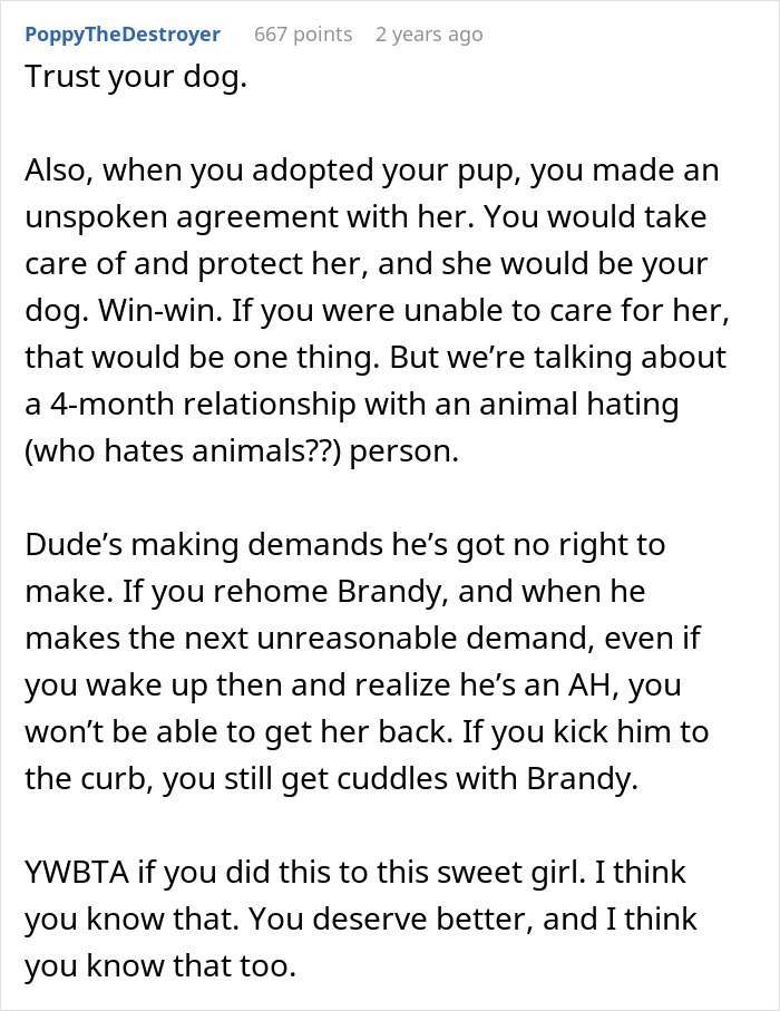 &ldquo;Re-Home Her Or He&rsquo;s Out&rdquo;: Entitled BF Makes Demands About Woman&rsquo;s Dog, Regrets It