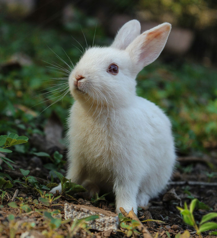 “Obliterating Everything”: 30 Of The Most Monumental Mistakes In History