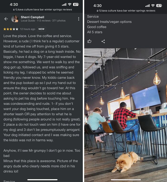 This Lady Came Up To Me And My Dog Without Saying Anything To Me