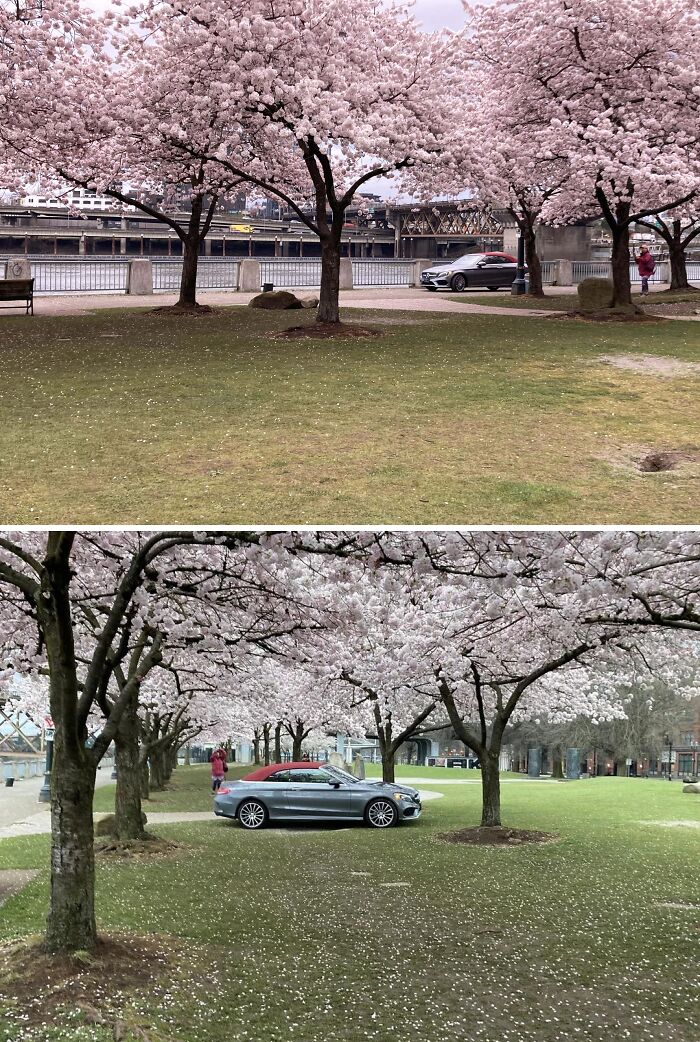 Imagine Thinking You Can Drive Your Car Down The Walking Path And Into The Park For A Photo Op