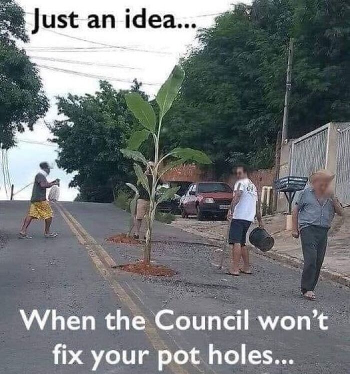 Gardening-Plant-Posts