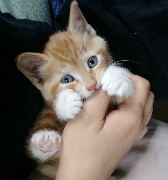 My Mother's Day Present! I Love Her Already