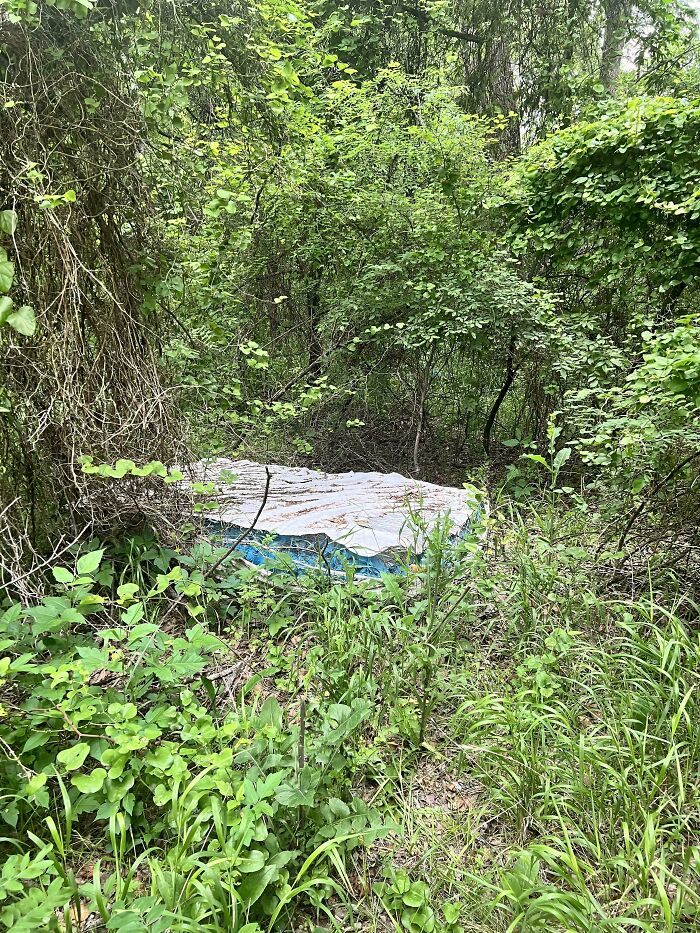 I’m Sure Nothing Nefarious Has Happened On This Mattress