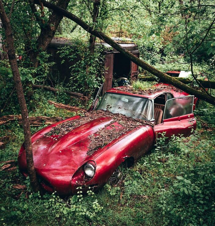 Un Jaguar E-Type abandonado y escondido