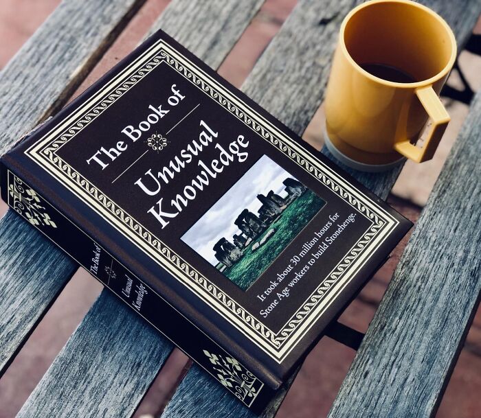 Book titled "The Book of Unusual Knowledge" on a bench next to a yellow mug.