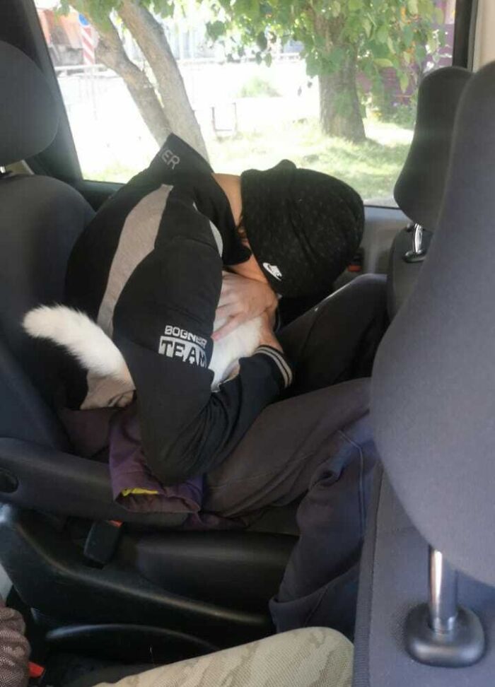 My Mother Found My Cat Online After A Whole Year Of Being Lost