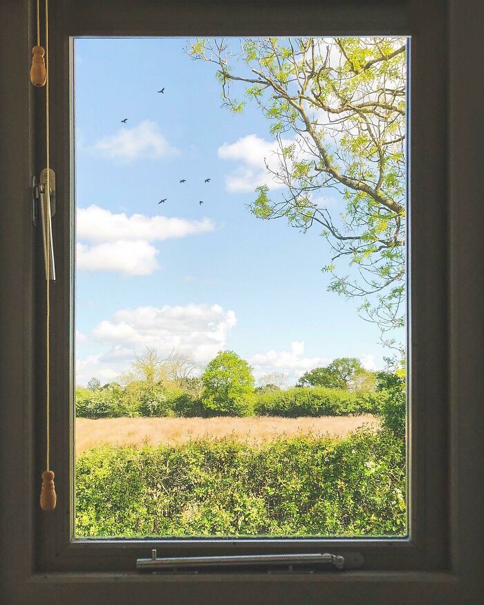 Las vistas desde mi habitación, con marco incluido
