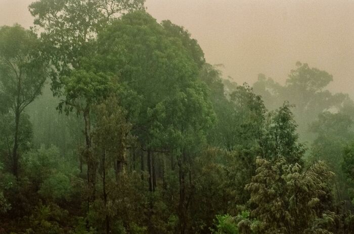 Got My Grandpa's Old Film Developed And Found This!