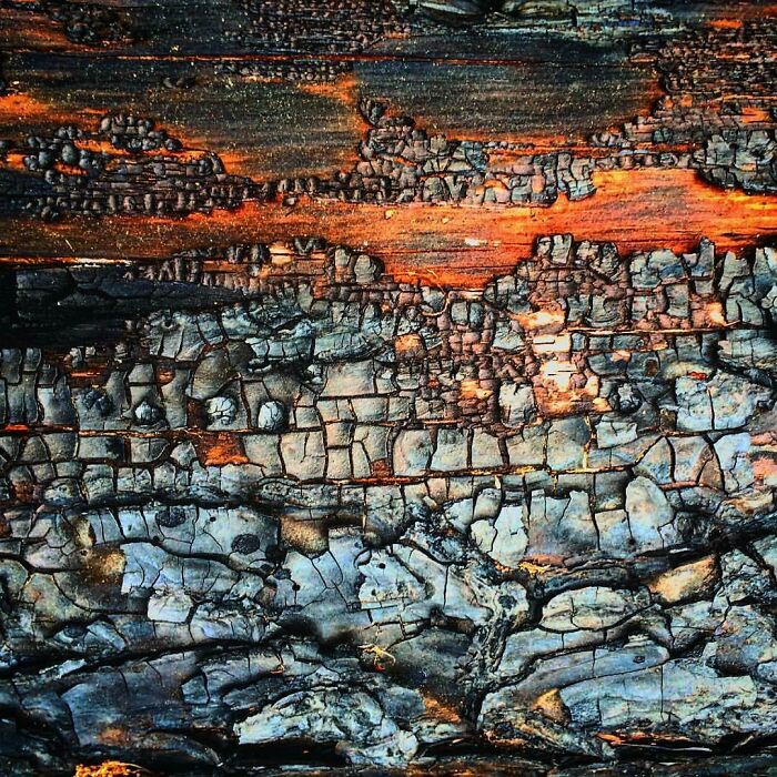 Burnt Wood