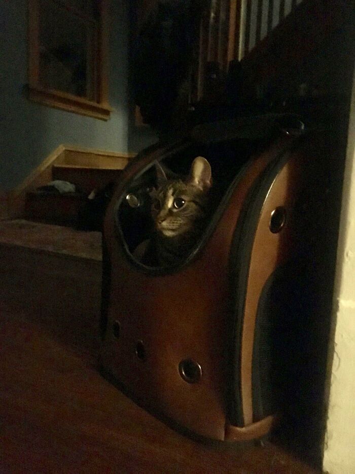 Caravaggio accidental