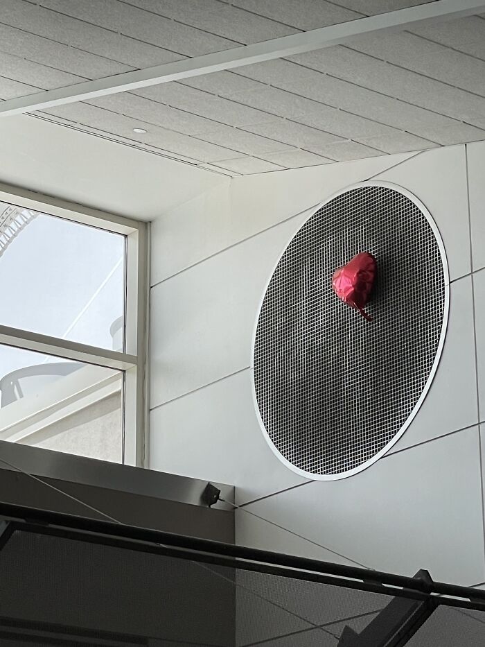 Denver Airport Today