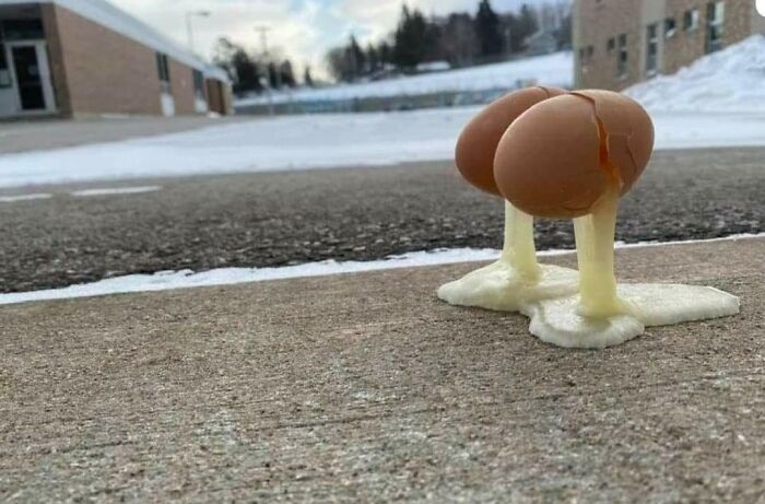 Eggs Outside In Walker,mn With -50 Windchill