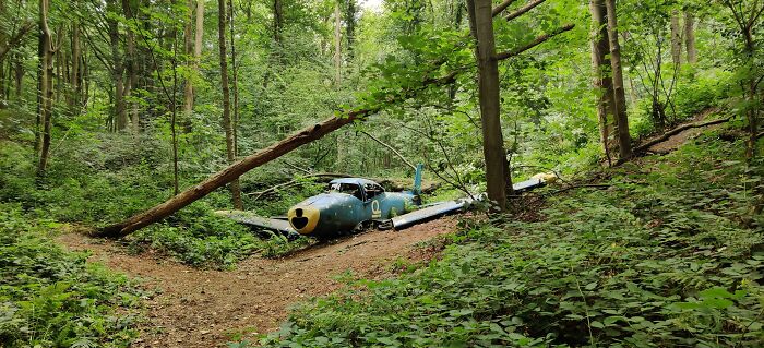 Abandoned Plane In A Forest Somewhere In Belgium