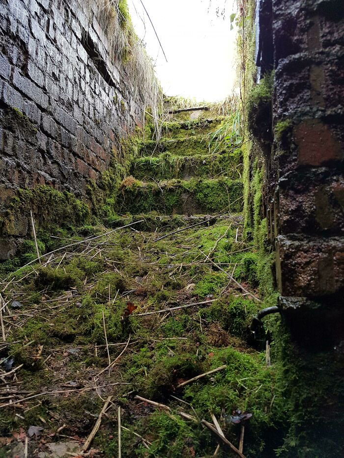 Bunker Entrance. Love This Picture