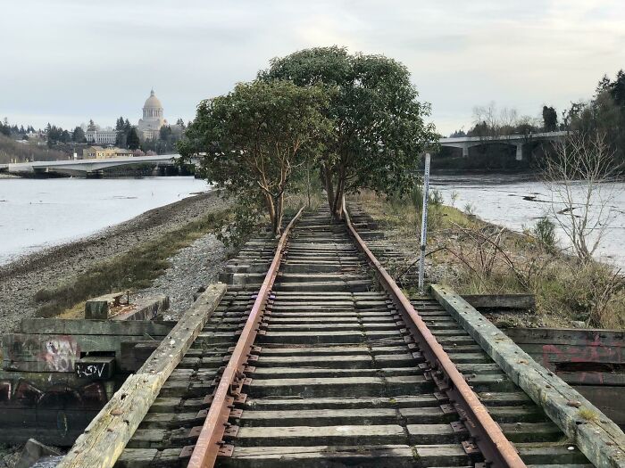 Abandoned Train Tracks In Olympia, Wa. USA. Note The Capitol Dome In The Background