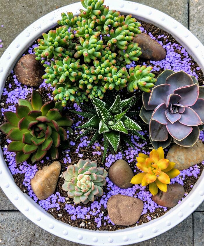 Instead Of Buying An Expensive Bouquet Of Flowers For Mother's Day, I Made This Instead For My Mom 