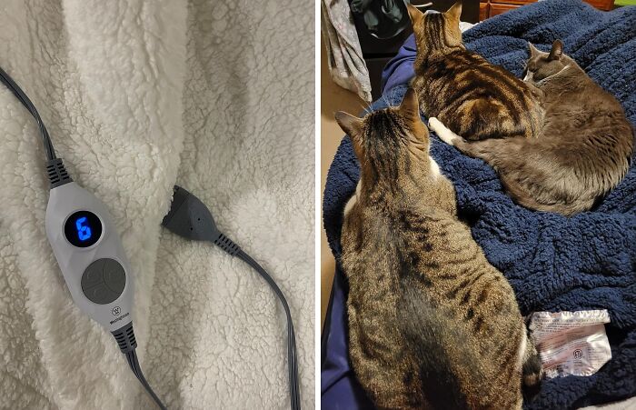 A Soft Plush Sherpa Heated Blanket Will Kick Any Winter Blues Asside