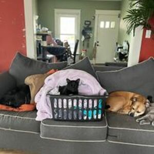 wendycollier1978 avatar