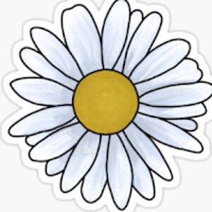 virginiadugan avatar