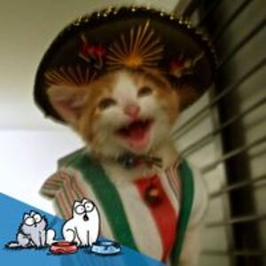 franceslgarner avatar