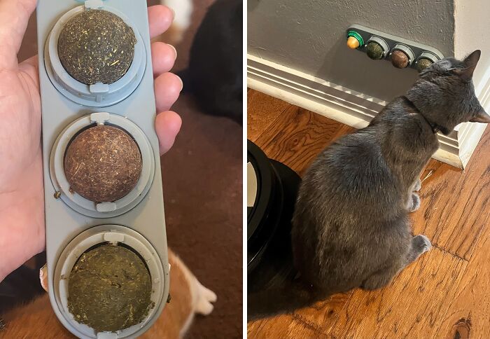 Kitty's Delight: Catnip Ball Treats For Healthy Teeth!