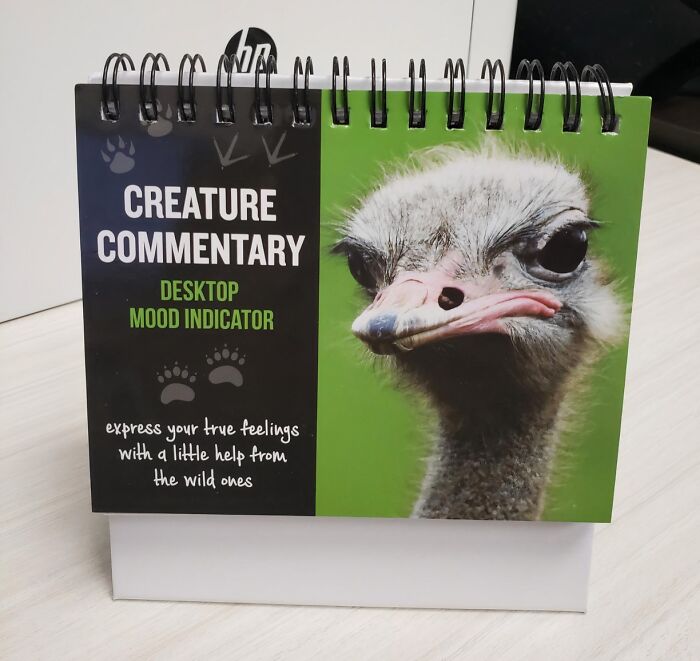 Mood Expression Sheet Cards: Because Sometimes Emojis Just Don't Cut It