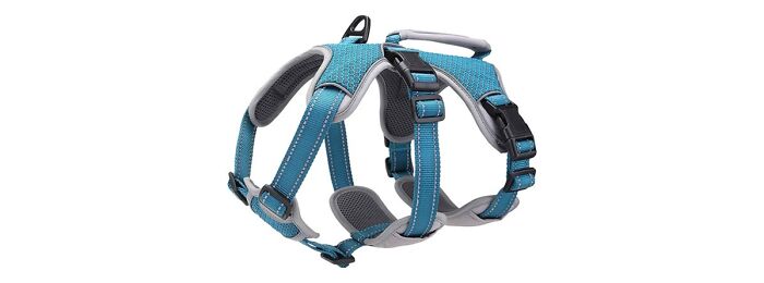 BELPRO Dog Harness