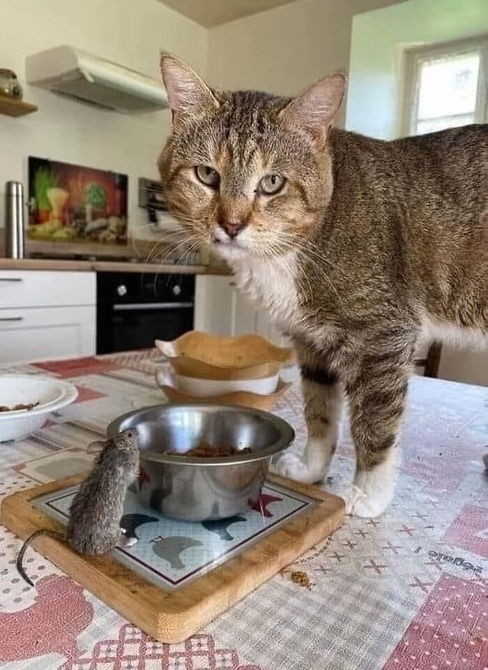 “Pics Or It Never Happened”: 50 Things That Might Be Hard To Believe Without Evidence