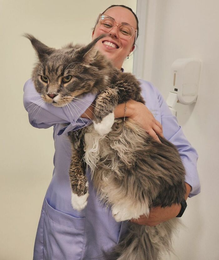 A Little Patient That Is A Little Difficult To Carry. Named Haku