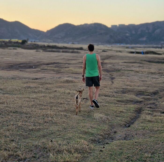 Today I Met A Wild Goat Who Thought I Was Its Mom. My Girlfriend Took This Picture Of Us