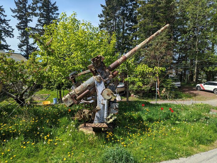 Antiguo cañón antiaereo de la 2ªGM que está en medio del vecindario