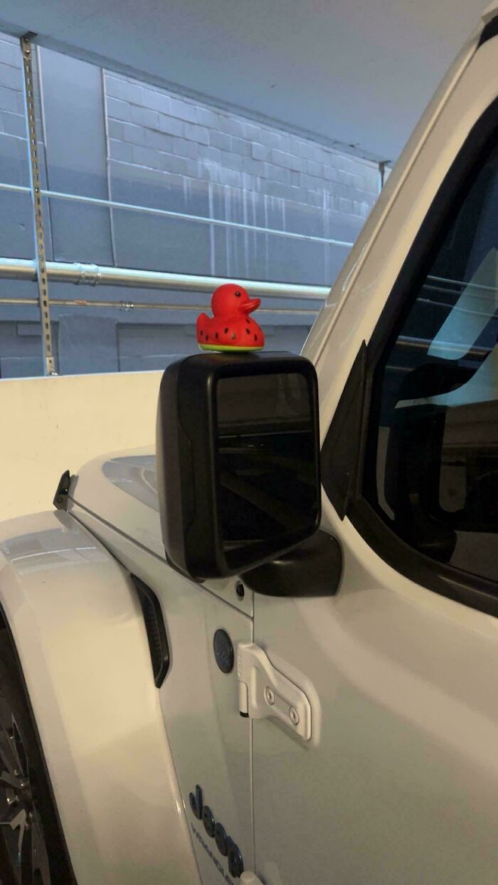 Me han dejado un pato sandía en el coche