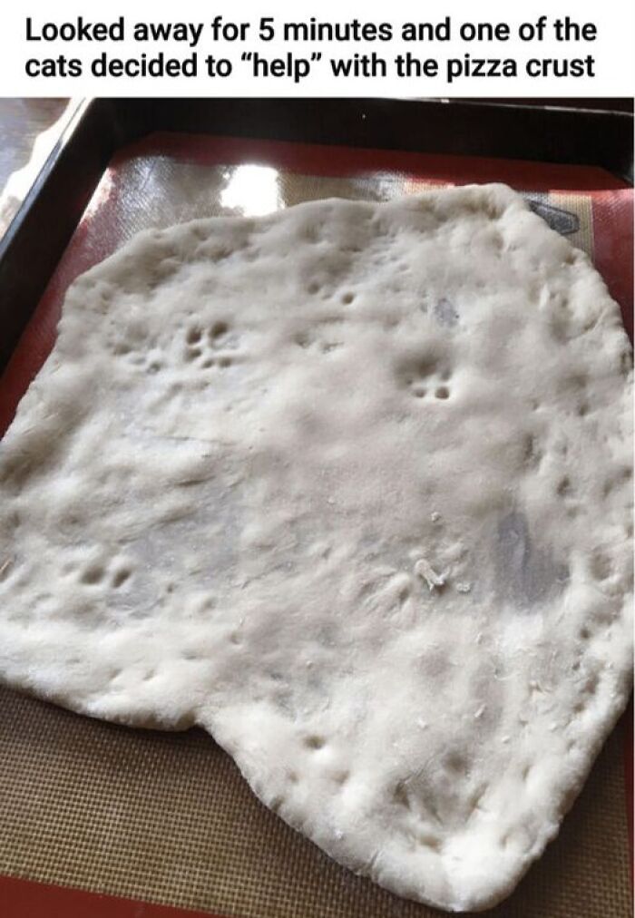 Wholesome-Relatable-Jokes