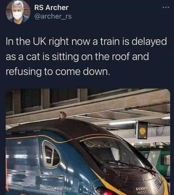 Wholesome-Relatable-Jokes