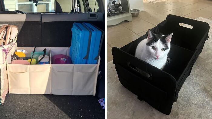 This Car Trunk Organizer Is For OCD: Organized Car Disorder