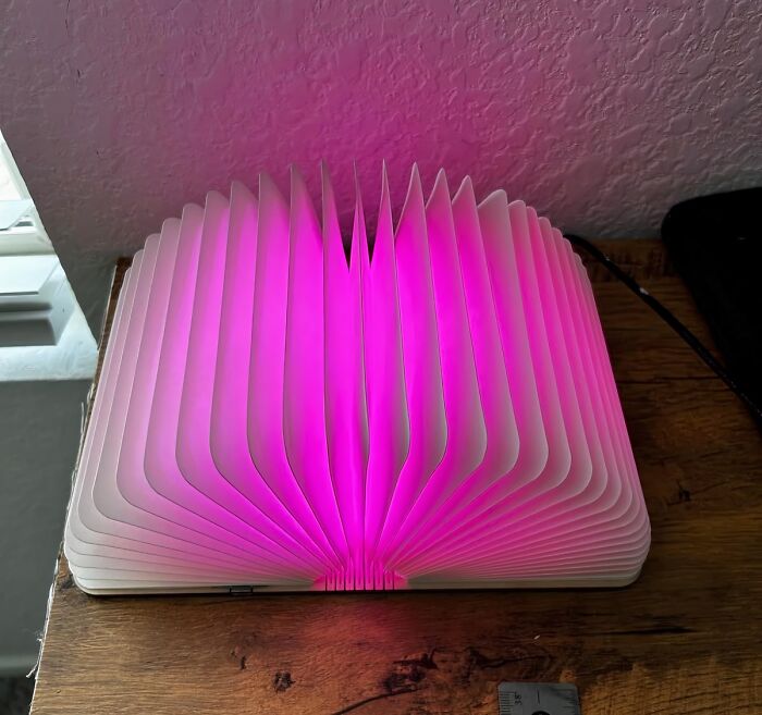 Foldable lamp glowing pink on wooden table, a unique novelty find for a dopamine hit and brain stimulation.