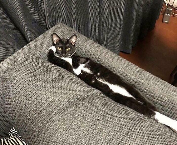 Yes, Tell Me What's The Matter