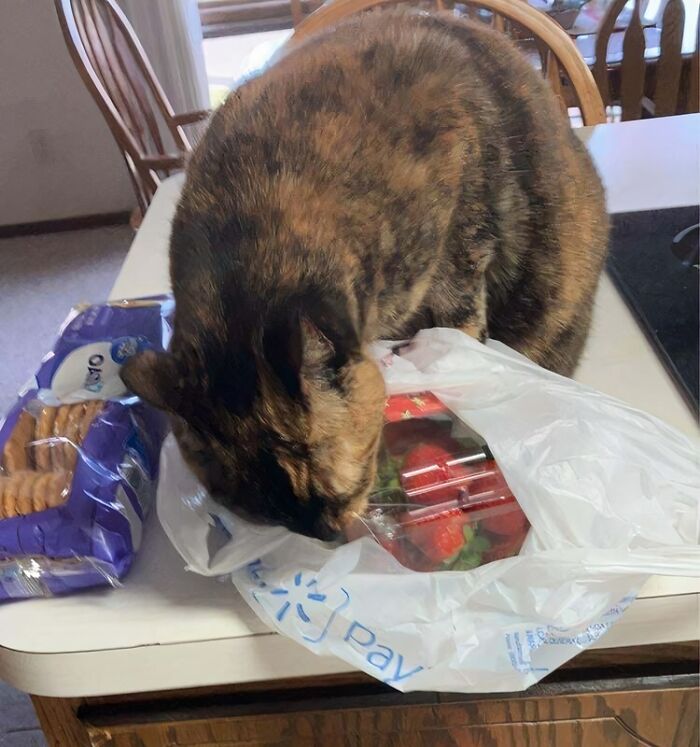 My Child Has An Obsession With Strawberries And Strawberry-Flavored Things For Some Reason