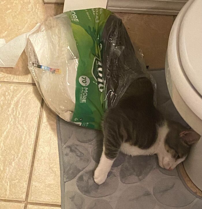 Stepped Out Of The Shower To This 🤷🏼‍♀️