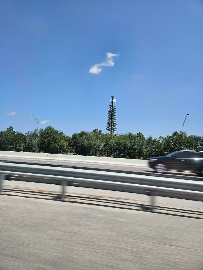 Cell tower disguised as a tree near a highway, creatively blending with the environment to cheat the system.