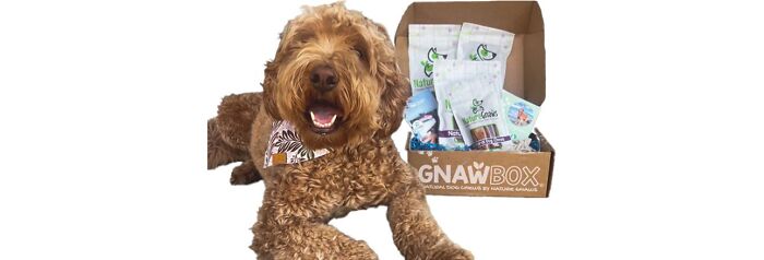 Nature Gnaws Large Gnaw Box
